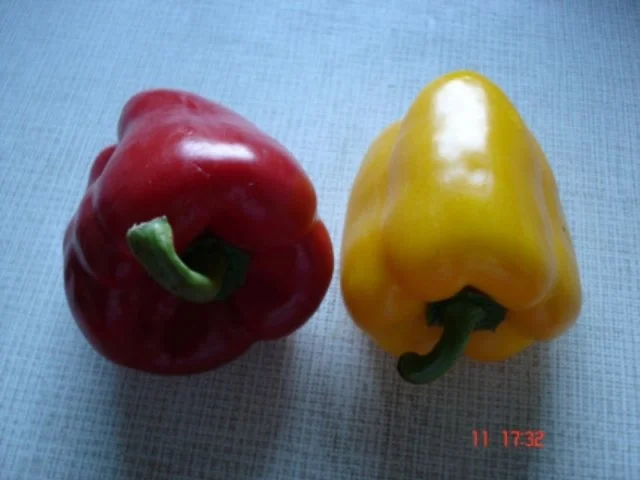 Curry-Nudeln - Rezept - Bild Nr. 14