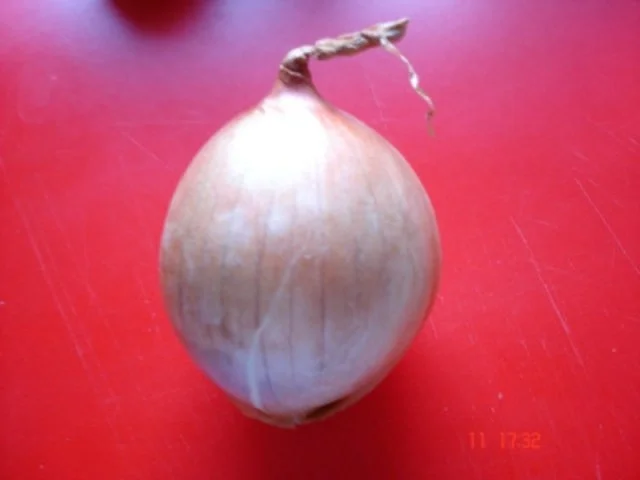 Curry-Nudeln - Rezept - Bild Nr. 12