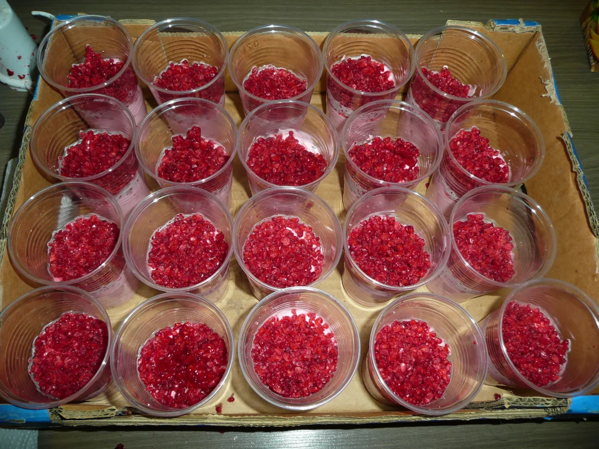 Quarkspeise - Rezept - Bild Nr. 3530