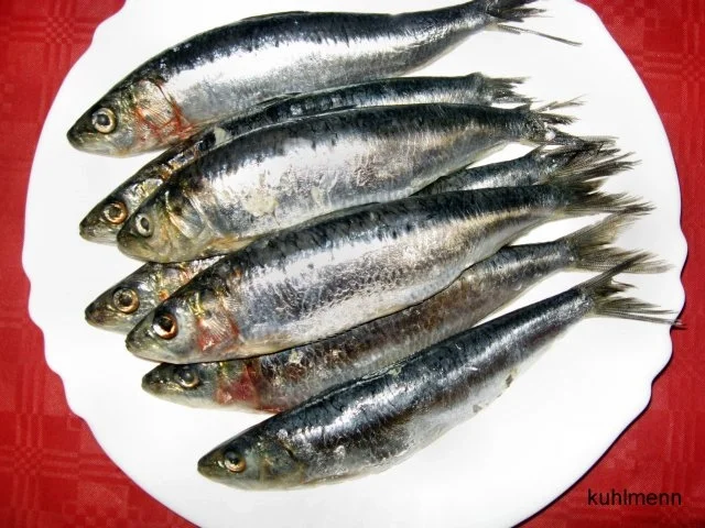 Sardinen gebraten und mariniert - Rezept - Bild Nr. 2