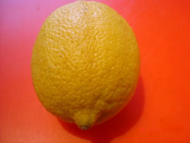 Rezept: Farfalle mit Käsesauce Bild Nr. 6 Farfalle mit Käsesauce - Rezept - Bild Nr. 6