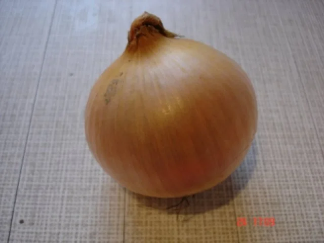 Rezept: Farfalle mit Käsesauce Bild Nr. 7 Farfalle mit Käsesauce - Rezept - Bild Nr. 7