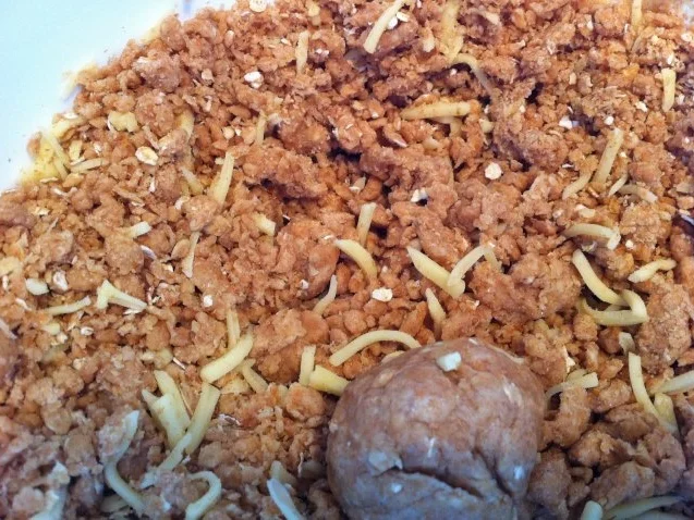 Haferflocken-Kekse für Hunde - Rezept