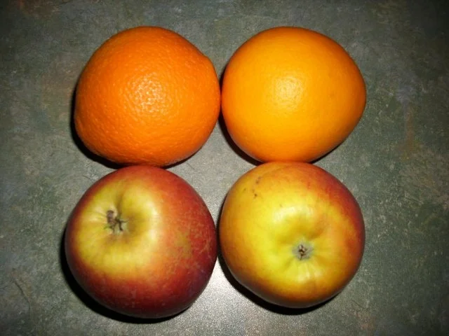 Gänse-Fond - Rezept - Bild Nr. 4