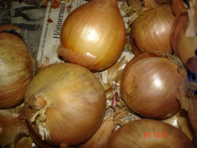 Kartoffelsalat mit Mayonnaise - Rezept - Bild Nr. 5