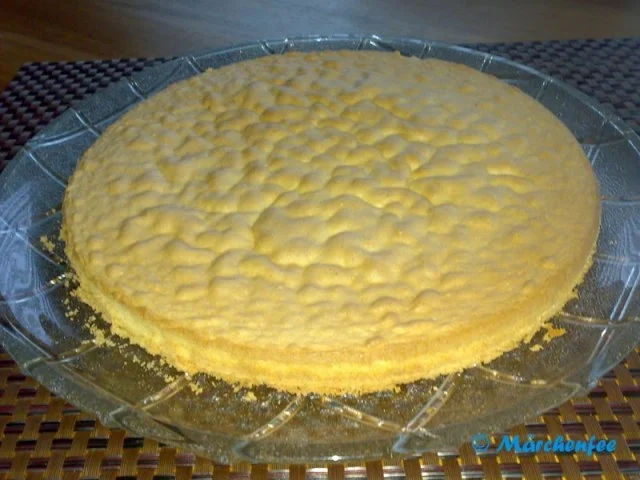 Blitz-Biskuit - Rezept - Bild Nr. 3