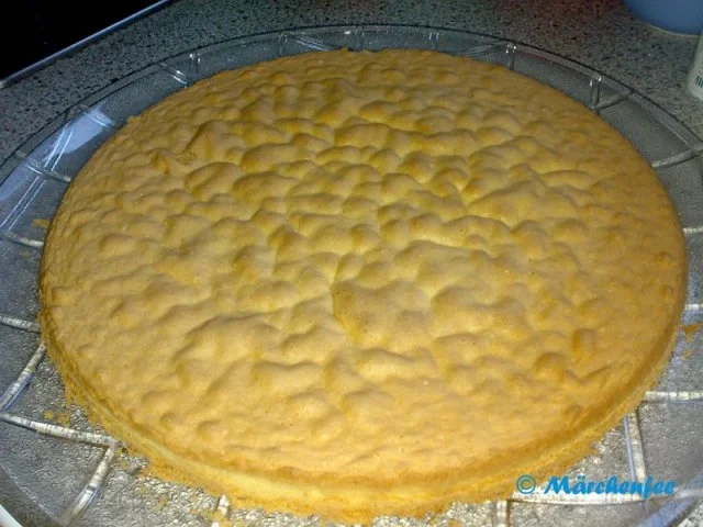 Blitz-Biskuit - Rezept