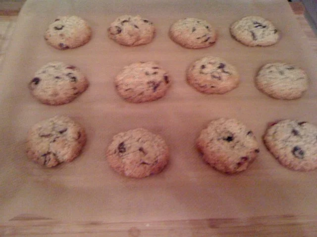 Haferflocken-Cranberry-Kekse - Rezept - Bild Nr. 2