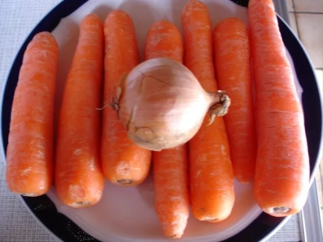 Rezept: Möhrenblütensalat Bild Nr. 2 Möhrenblütensalat - Rezept - Bild Nr. 2