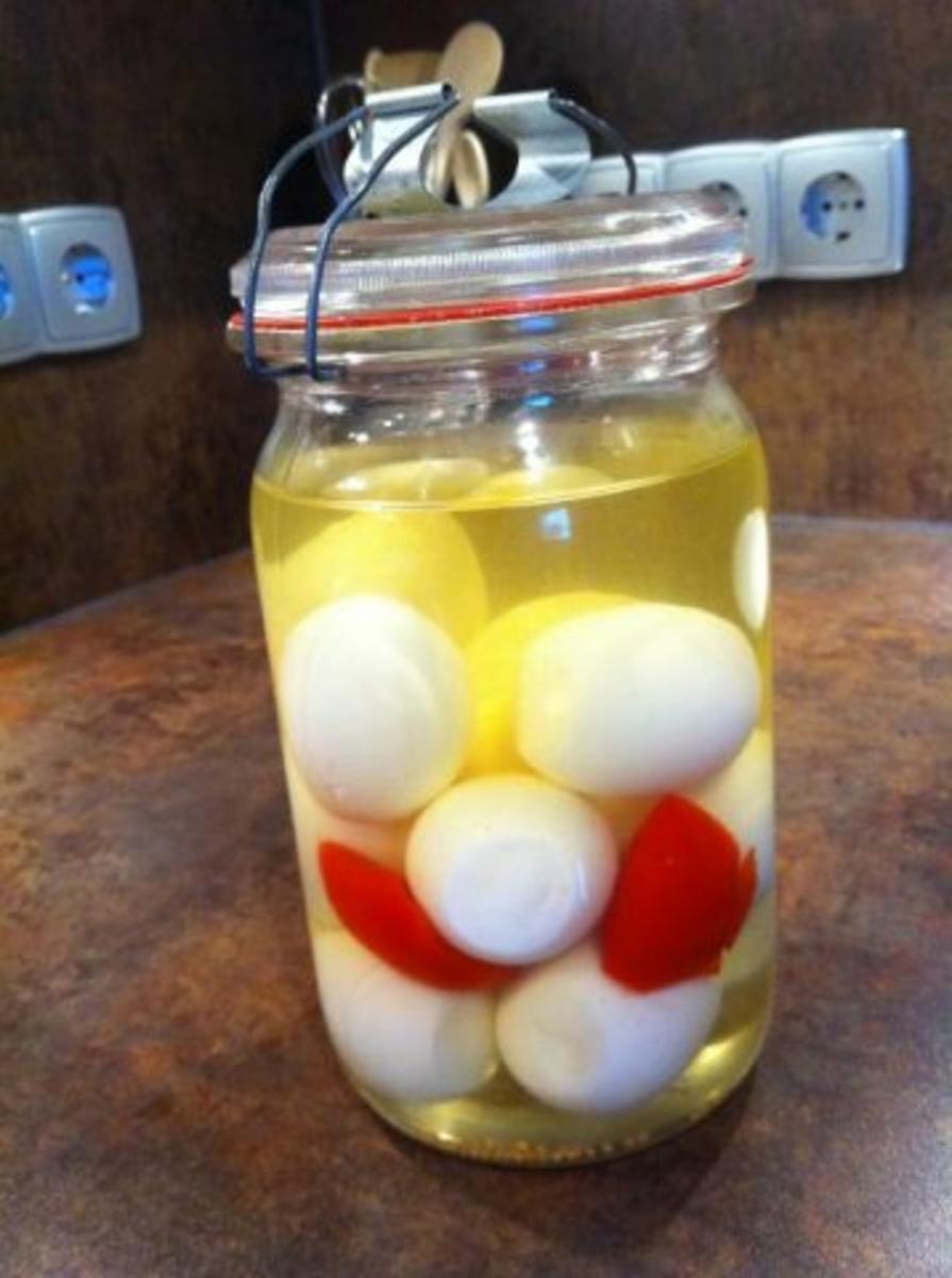 Soleier Rezepte zum vorbereiten