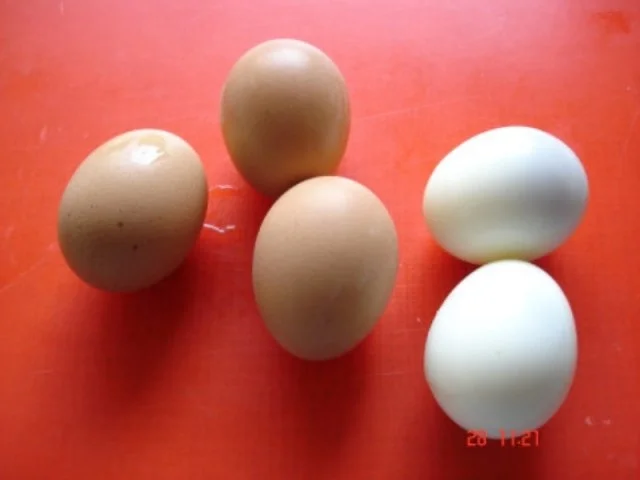 Rezept: Nudel-Eiersalat Bild Nr. 4 Nudel-Eiersalat - Rezept - Bild Nr. 4