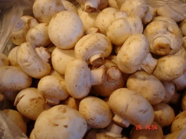 Rezept: Traditionelles Heiligabend Essen Bild Nr. 6 Traditionelles Heiligabend Essen - Rezept - Bild Nr. 6