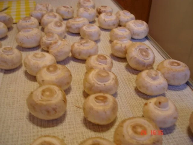 Rezept: Traditionelles Heiligabend Essen Bild Nr. 21 Traditionelles Heiligabend Essen - Rezept - Bild Nr. 21