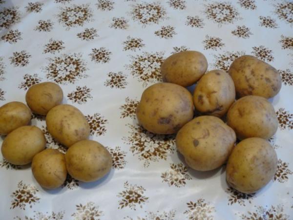 Vogtländische Grüne Klöße nach Oma Eichelberger - 73 kcal/100g