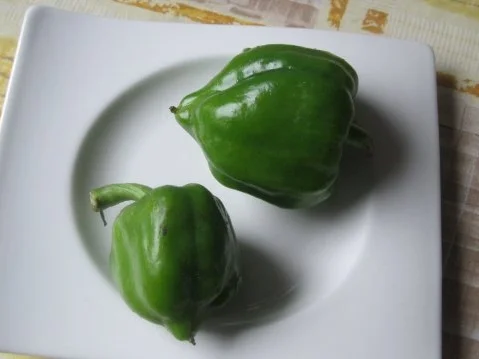 Rezept: Testessen Bild Nr. 3 Testessen - Rezept - Bild Nr. 3