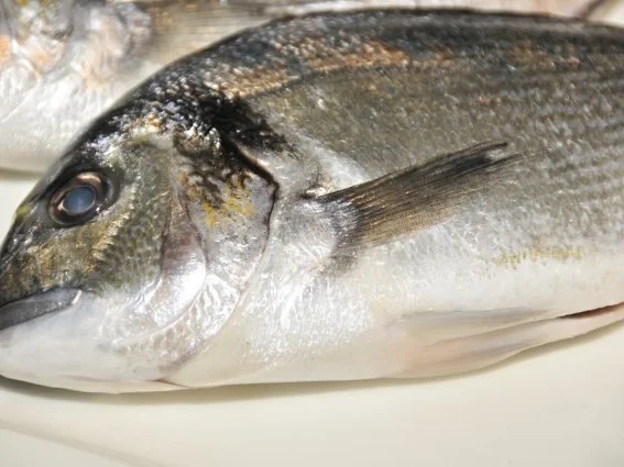 Dorade auf Ofengemüse mit Zitronenaioli - Rezept - Bild Nr. 3