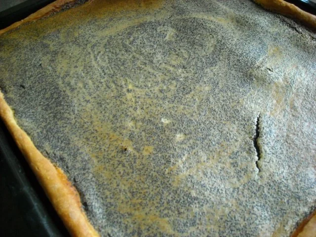 Xmas - Mohnkuchen - Rezept - Bild Nr. 5