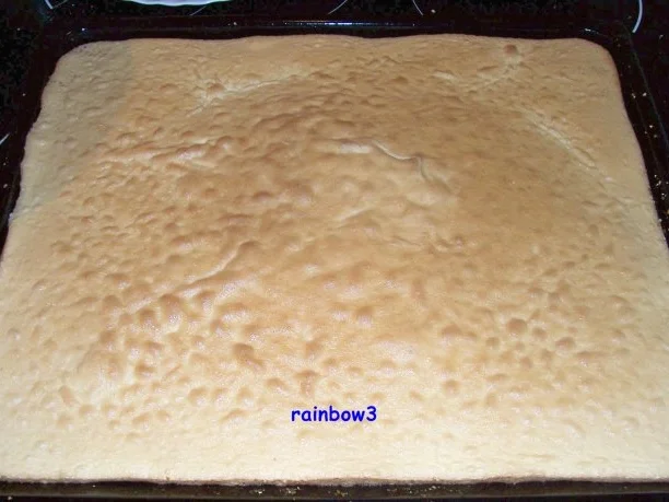 Backen: Geschenk-Torte - Rezept - Bild Nr. 4