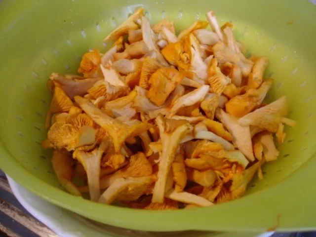 Rezept: Spaghetti mit Pfifferlingen Bild Nr. 5 Spaghetti mit Pfifferlingen - Rezept - Bild Nr. 5