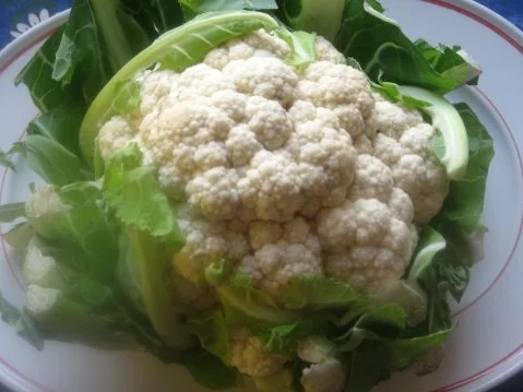 Blumenkohlröschen in köstlicher Panade gebacken - Rezept - Bild Nr. 2