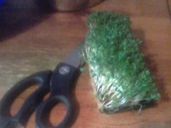 Duisburger Nudelsalat a`la Jörg - Rezept - Bild Nr. 5