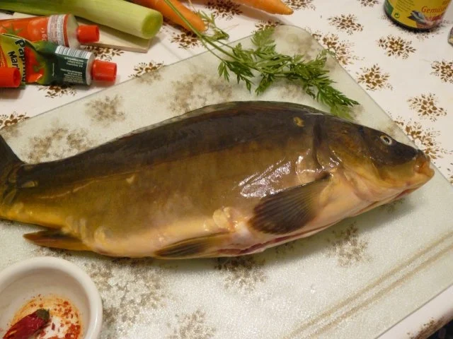 Ungarische Karpfensuppe nach Istvan - Rezept - Bild Nr. 10