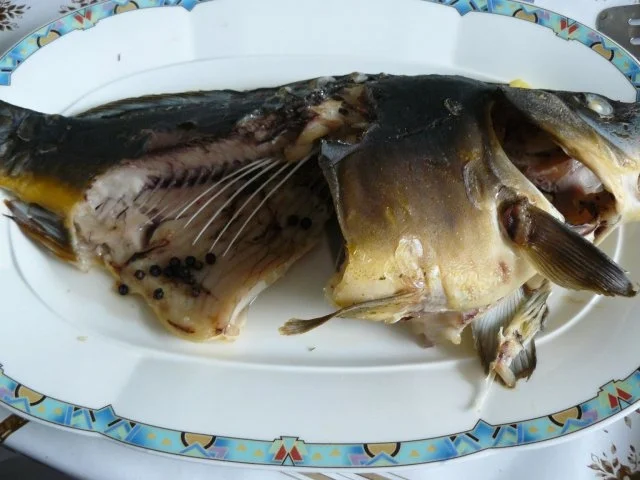 Ungarische Karpfensuppe nach Istvan - Rezept - Bild Nr. 16