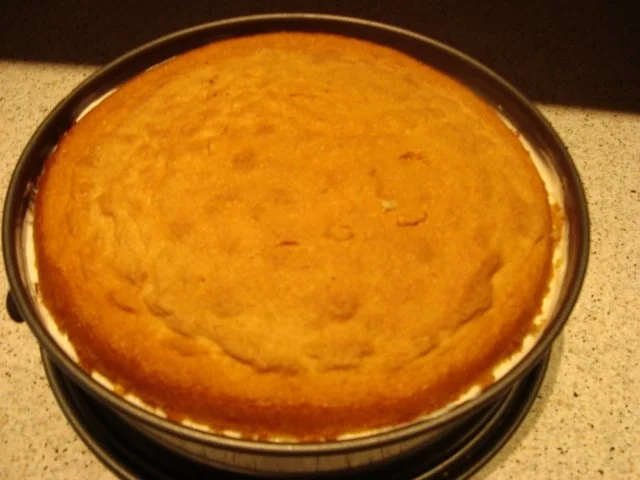 Mandarinen-Käse-Sahnetorte - Rezept - Bild Nr. 11