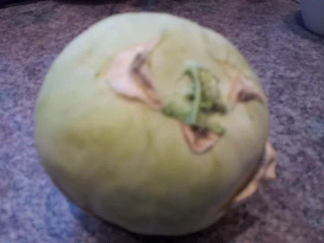 Kohlrabi-Porree-Kartoffel-Eintopf - Rezept - Bild Nr. 14