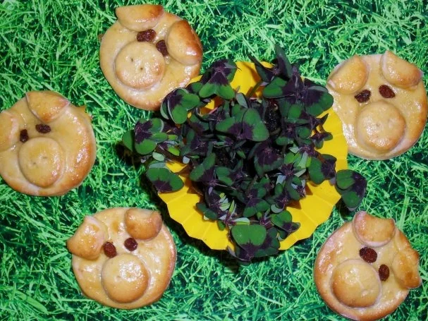 Glücksschweinchen - Rezept