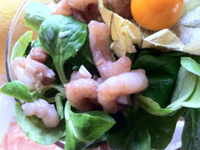 Garnelen-Cocktail.. mit marinierten Garnelen an Salat mit Früchten.... - Rezept - Bild Nr. 8