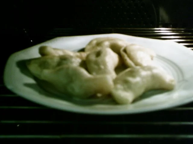 Piroggen - Rezept - Bild Nr. 6