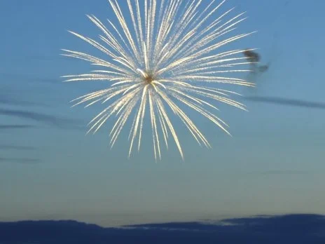 Neujahrs Glücksschweinchen - Rezept - Bild Nr. 2