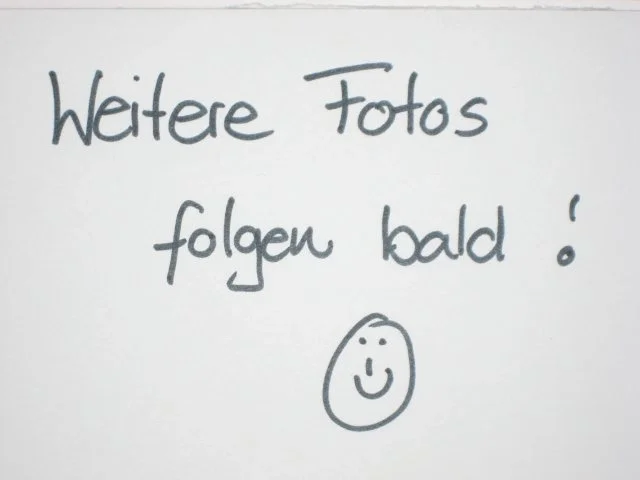 China-Party-Soup - Rezept - Bild Nr. 4