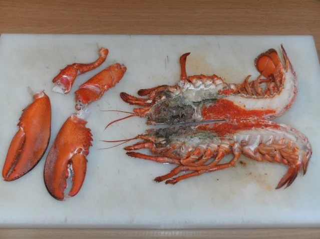 Fisch: Hummer - Cocktail - Rezept - Bild Nr. 2