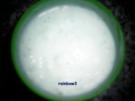 Dip: Knoblauch-Joghurt - Rezept