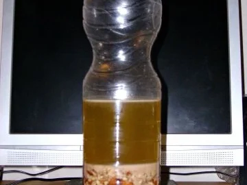 Vanille-Mandel-Likör - Rezept - Bild Nr. 2