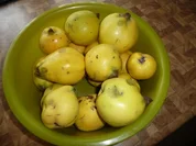 Quitten Gelee - Rezept