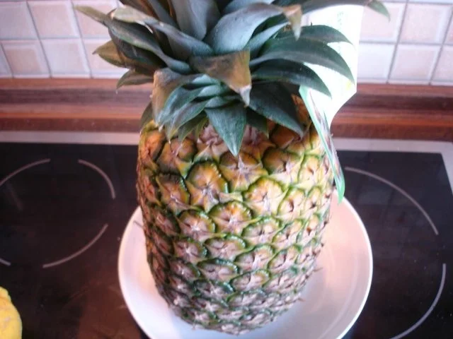 Ananas-Carpaccio - Rezept - Bild Nr. 2