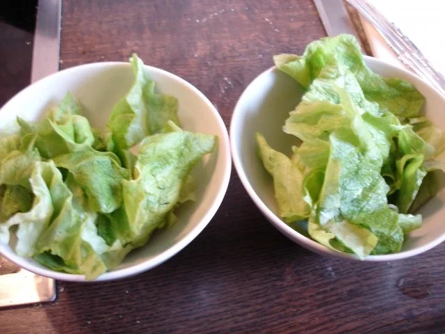 Buletten mit Kartoffelpüree und Kopfsalat - Rezept - Bild Nr. 5