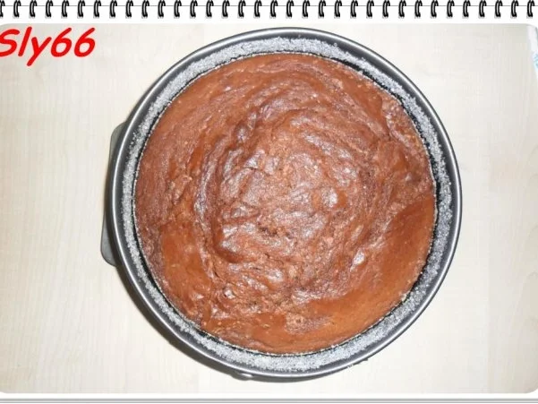 Rezept: Kuchen:Kakaokuchen Bild Nr. 13 Kuchen:Kakaokuchen - Rezept - Bild Nr. 13