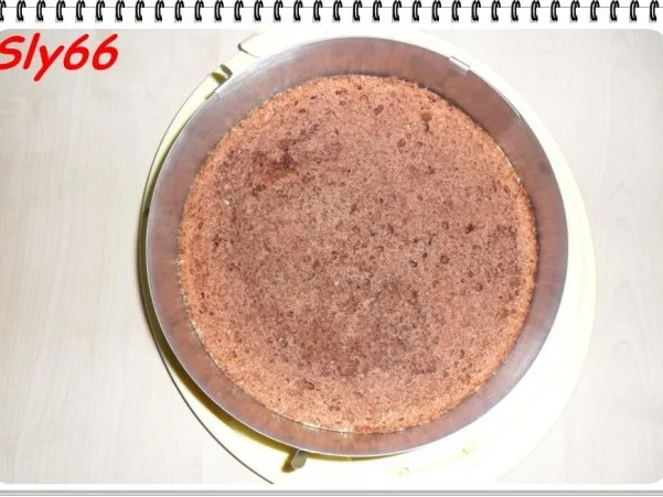 Rezept: Kuchen:Kakaokuchen Bild Nr. 18 Kuchen:Kakaokuchen - Rezept - Bild Nr. 18