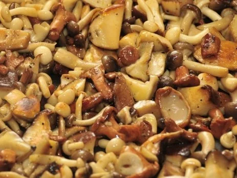 Rezept: Spaghetti ai funghi Bild Nr. 4 Spaghetti ai funghi - Rezept - Bild Nr. 4