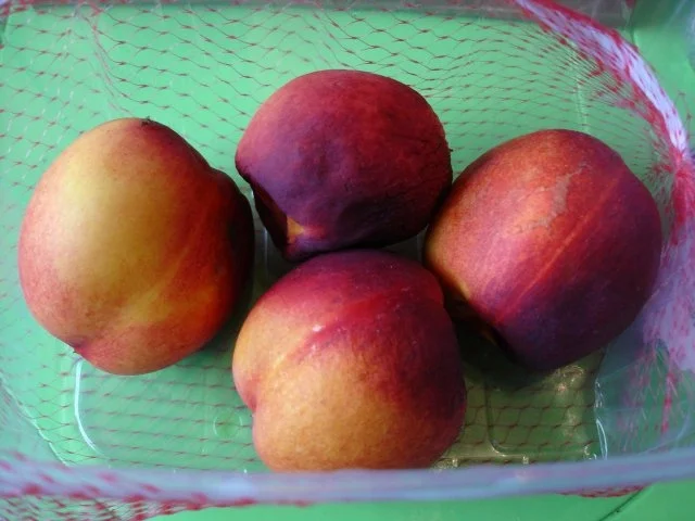 Joghurt mit Früchten - Rezept - Bild Nr. 6