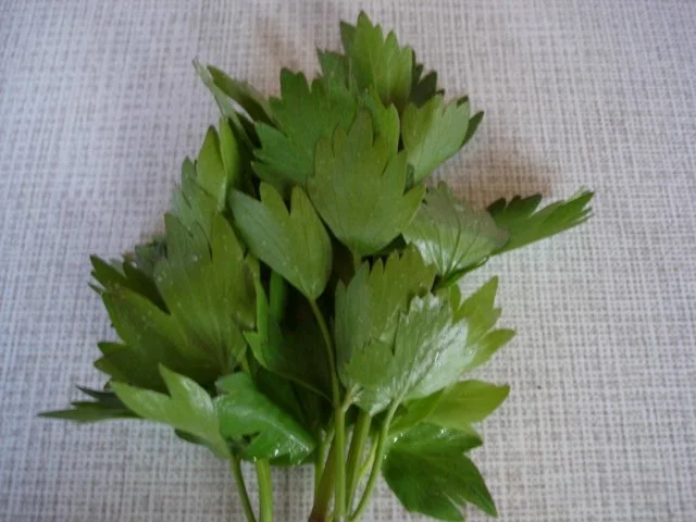 Rezept: Kohlrabi-Suppe mit Würstchen Bild Nr. 3 Kohlrabi-Suppe mit Würstchen - Rezept - Bild Nr. 3