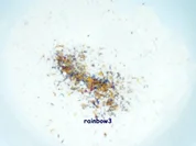 Rezept: Backen: Bunte Brötchen Backen: Bunte Brötchen - Rezept