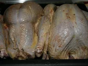 Rezept: Pute, gefüllt Pute, gefüllt - Rezept