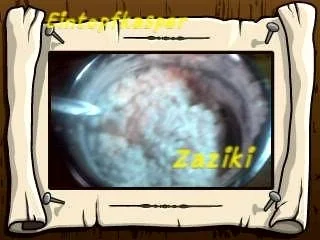 Fleischkäsgyros a`la Jörg mit Pommes und Zaziki - Rezept - Bild Nr. 3