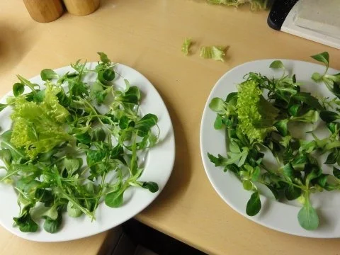 Wildes Huhn im Vogelnest - Rezept - Bild Nr. 3