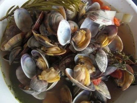 Venusmuscheln in Tomaten-Weisswein-Sud - Rezept - Bild Nr. 2
